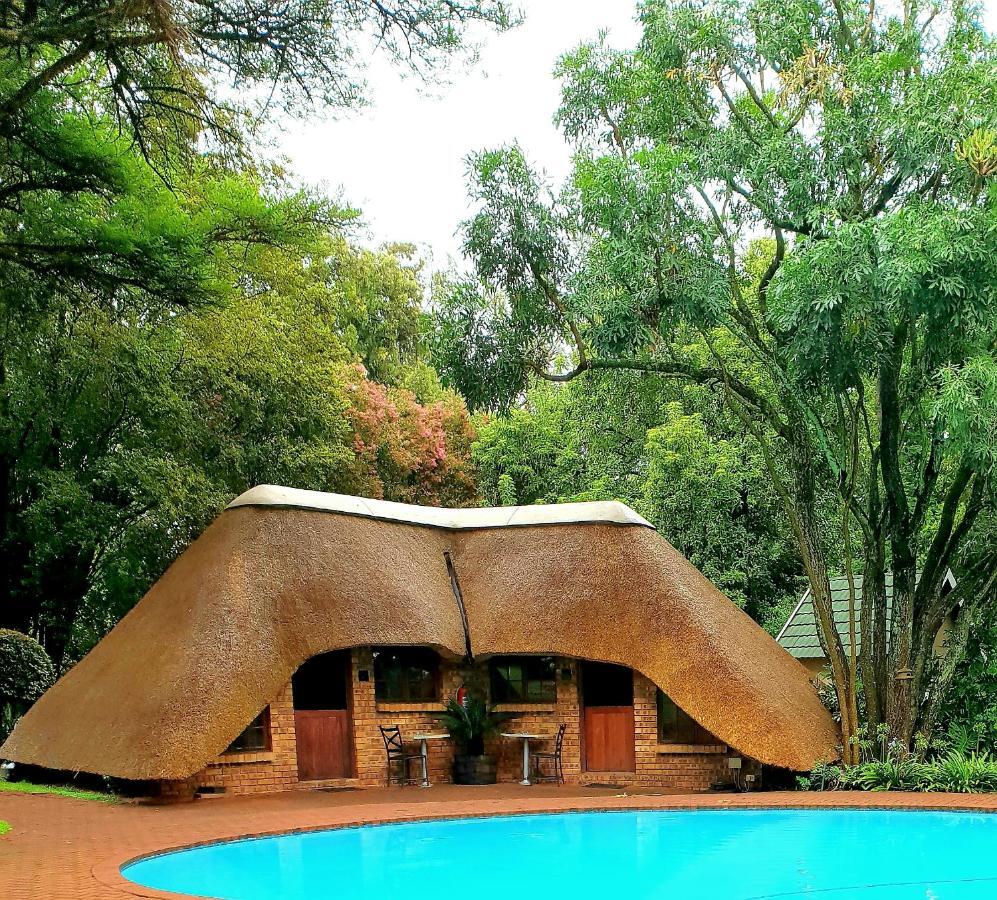 Haggards On Hilldrop Bed & Breakfast Newcastle Luaran gambar
