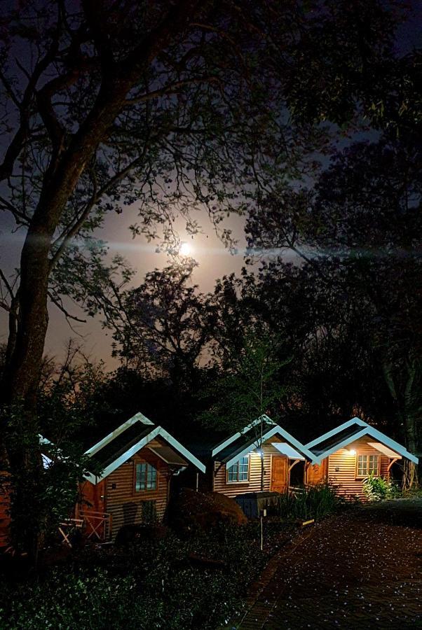 Haggards On Hilldrop Bed & Breakfast Newcastle Luaran gambar