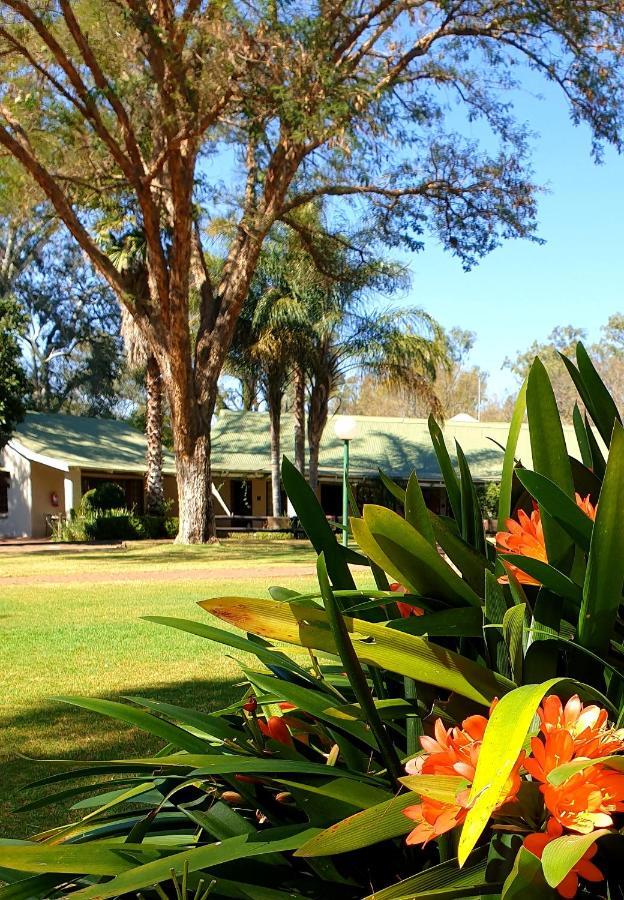 Haggards On Hilldrop Bed & Breakfast Newcastle Luaran gambar