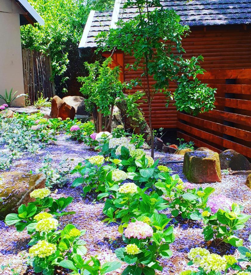 Haggards On Hilldrop Bed & Breakfast Newcastle Luaran gambar