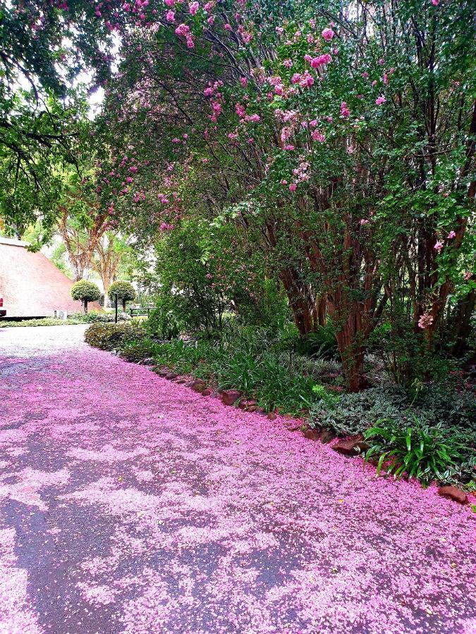 Haggards On Hilldrop Bed & Breakfast Newcastle Luaran gambar
